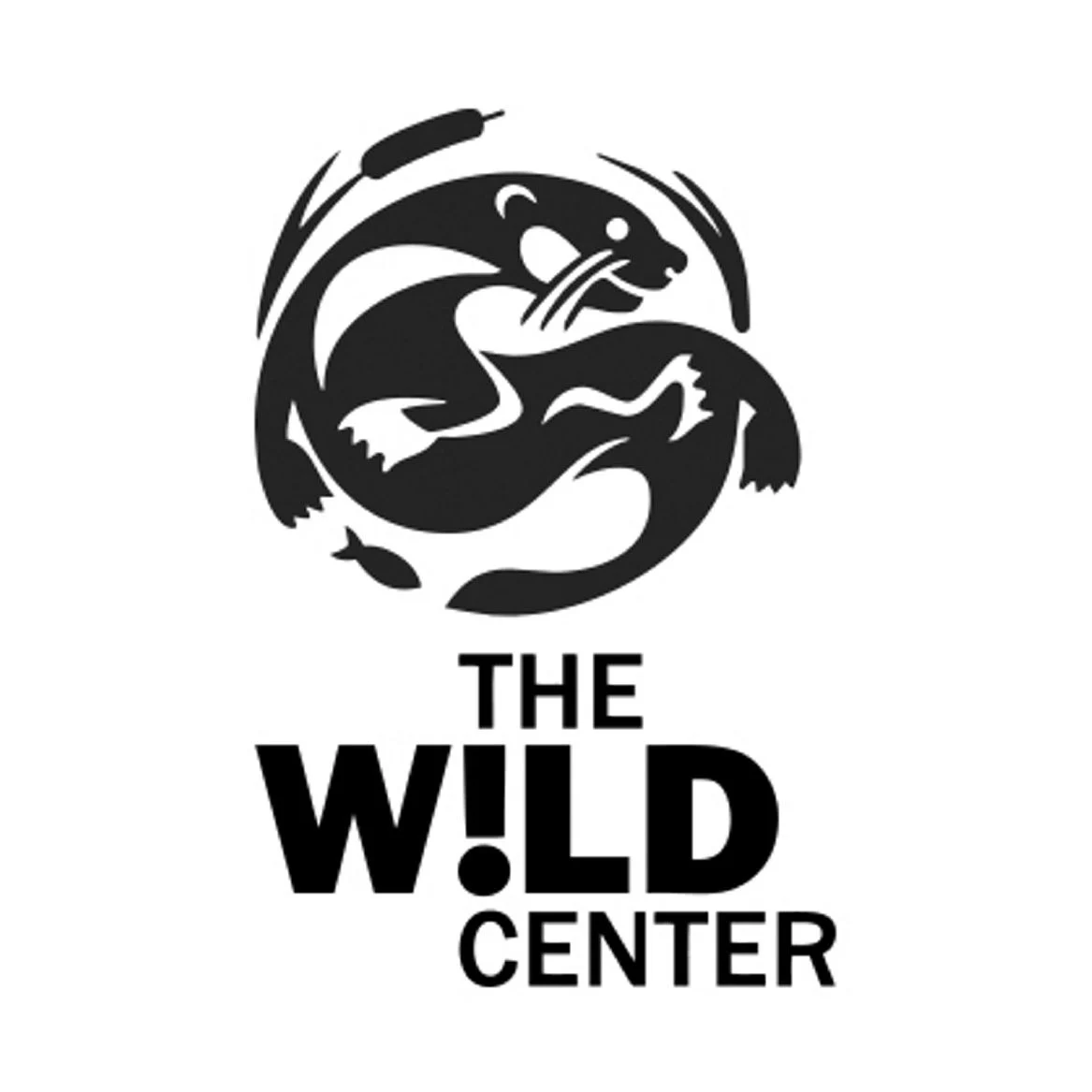 The Wild Center logo